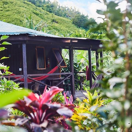 Hibiscus Valley Inn Marigot Ngoại thất bức ảnh