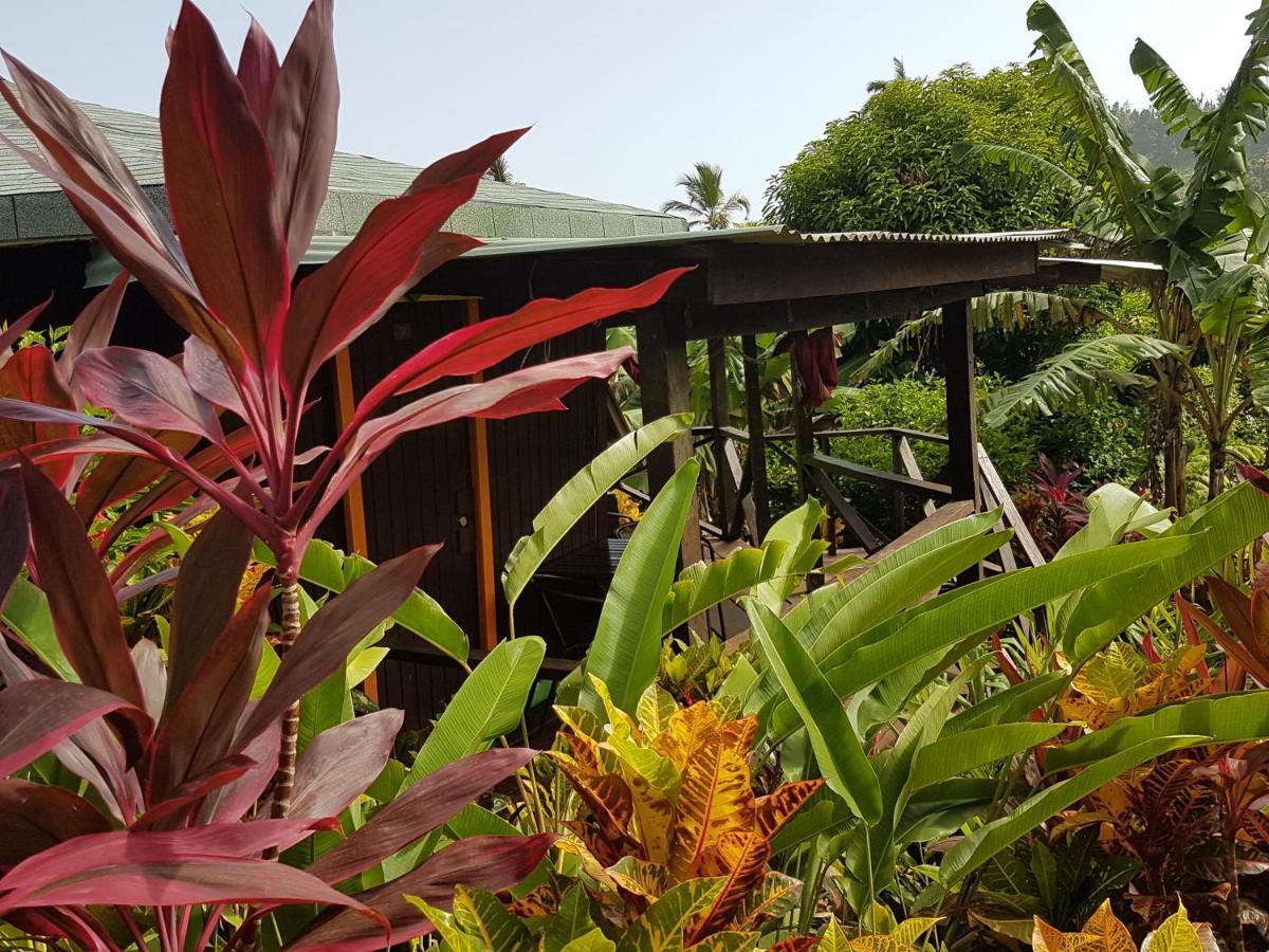 Hibiscus Valley Inn Marigot Ngoại thất bức ảnh