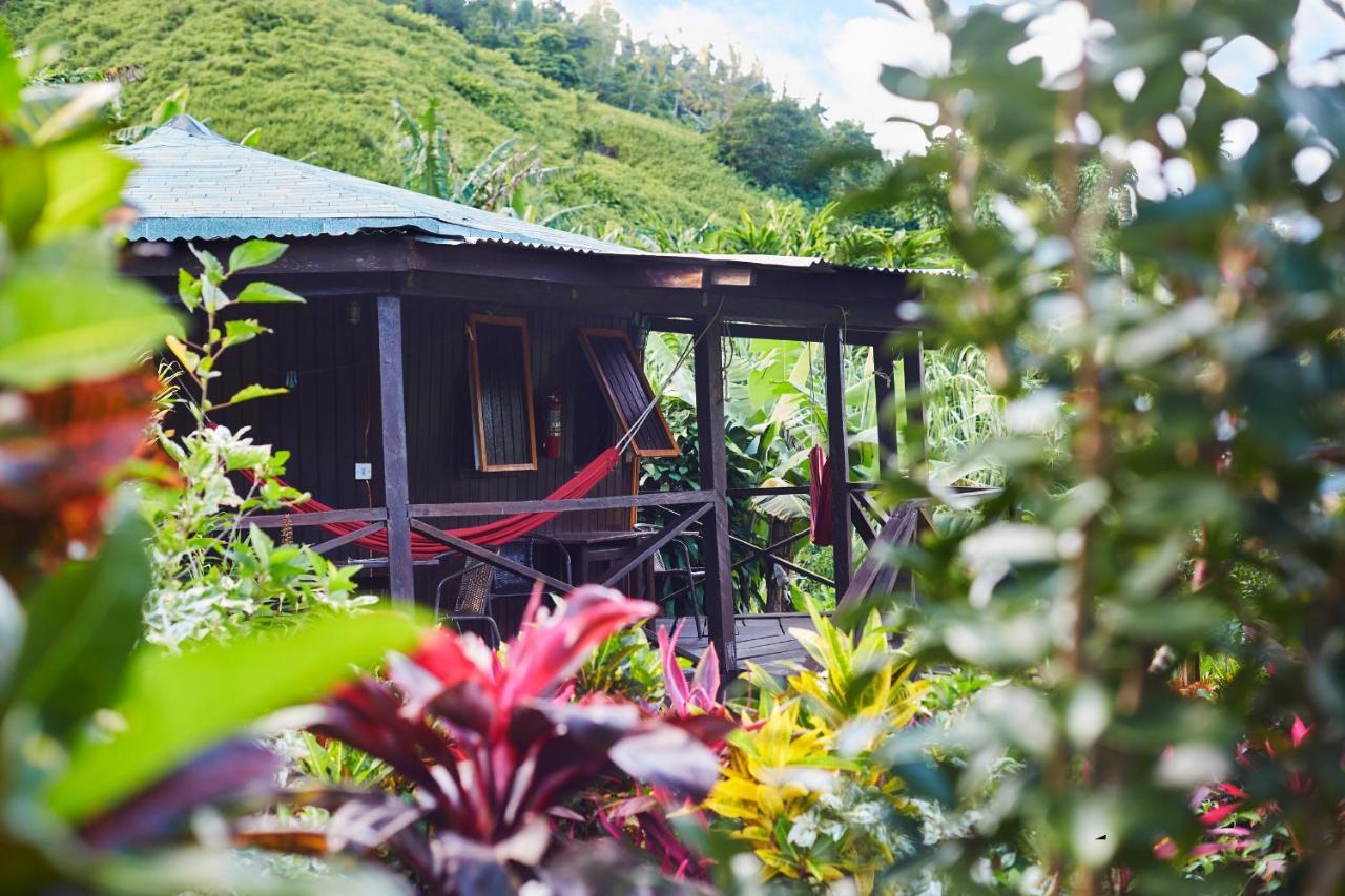 Hibiscus Valley Inn Marigot Ngoại thất bức ảnh