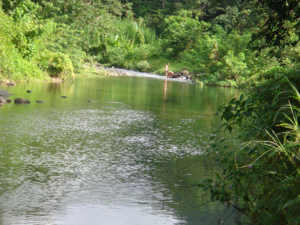Hibiscus Valley Inn Marigot Phòng bức ảnh