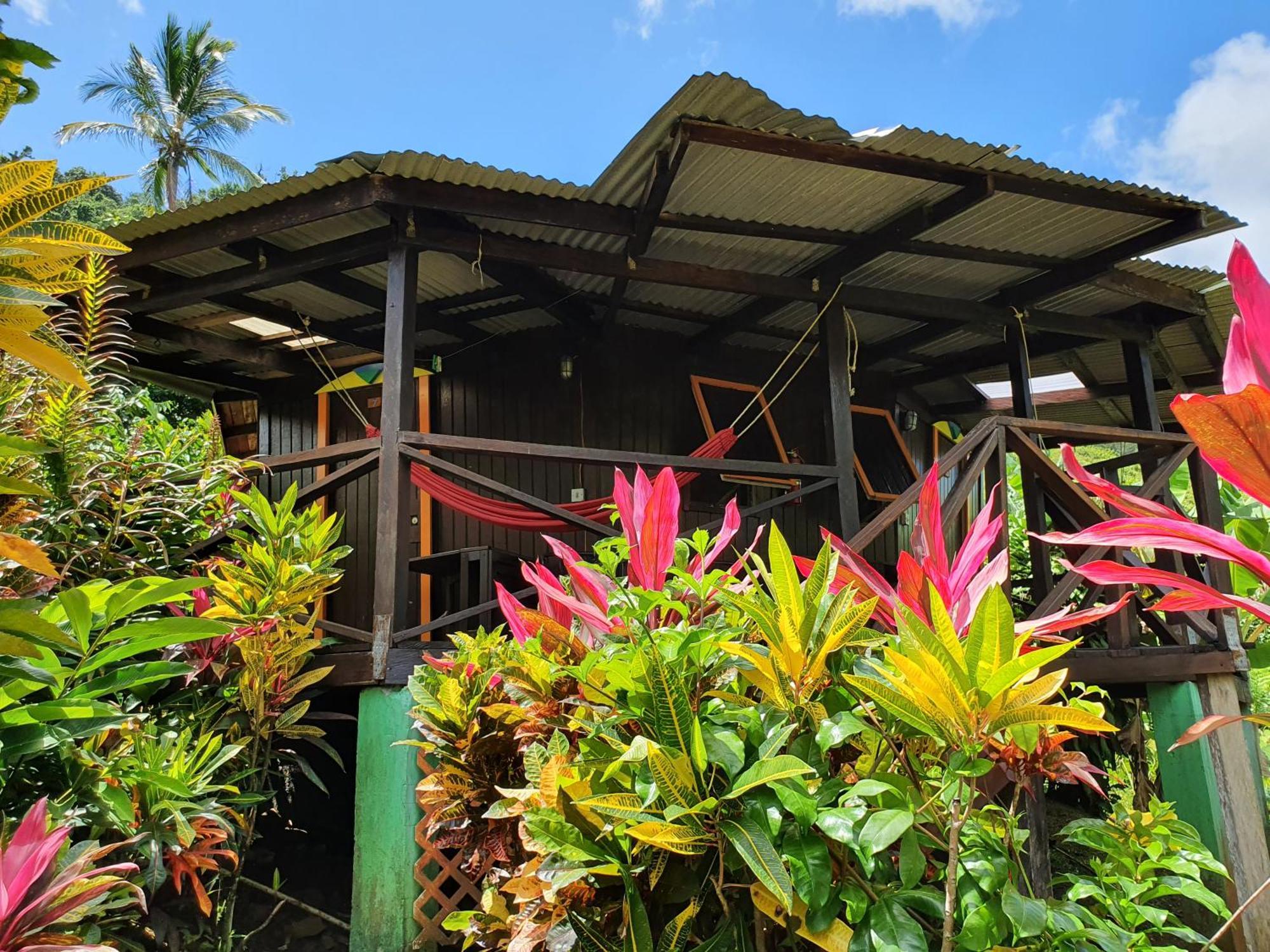 Hibiscus Valley Inn Marigot Ngoại thất bức ảnh