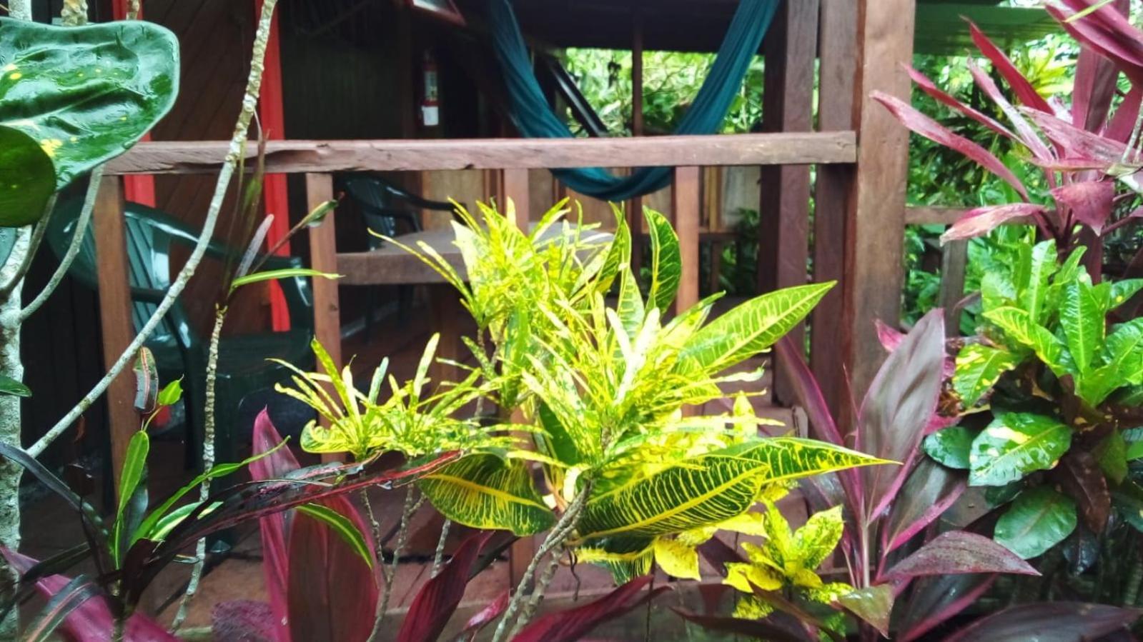 Hibiscus Valley Inn Marigot Ngoại thất bức ảnh