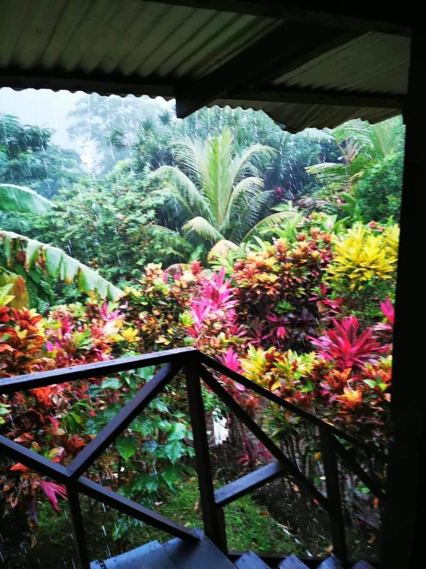 Hibiscus Valley Inn Marigot Ngoại thất bức ảnh