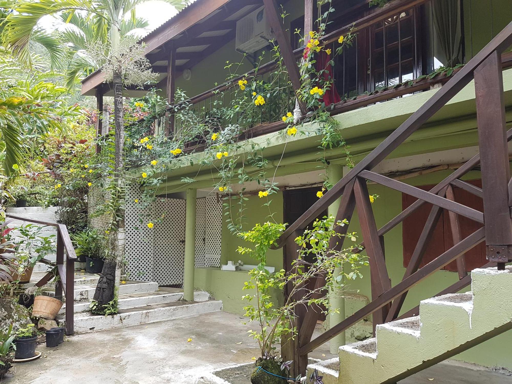 Hibiscus Valley Inn Marigot Ngoại thất bức ảnh