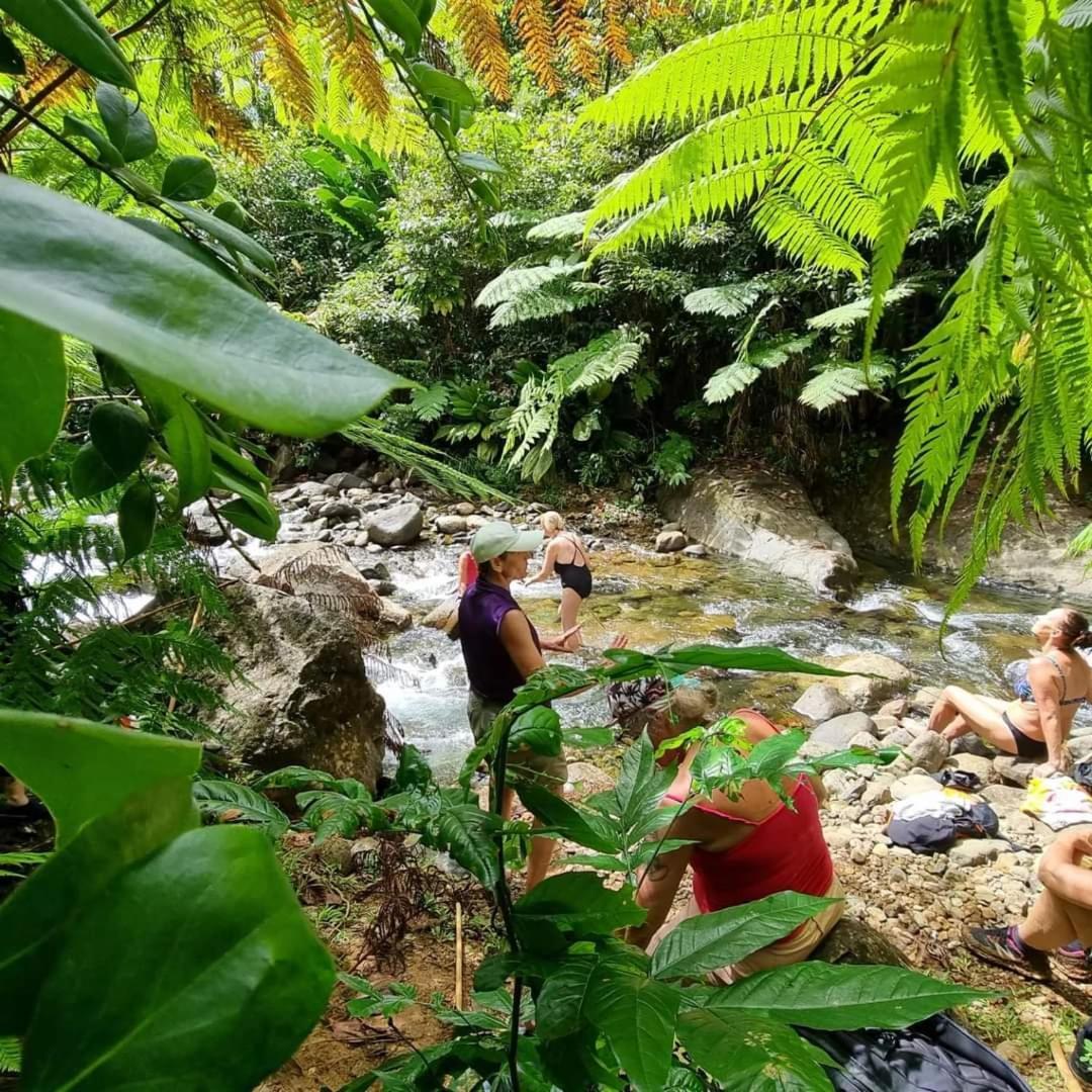 Hibiscus Valley Inn Marigot Ngoại thất bức ảnh