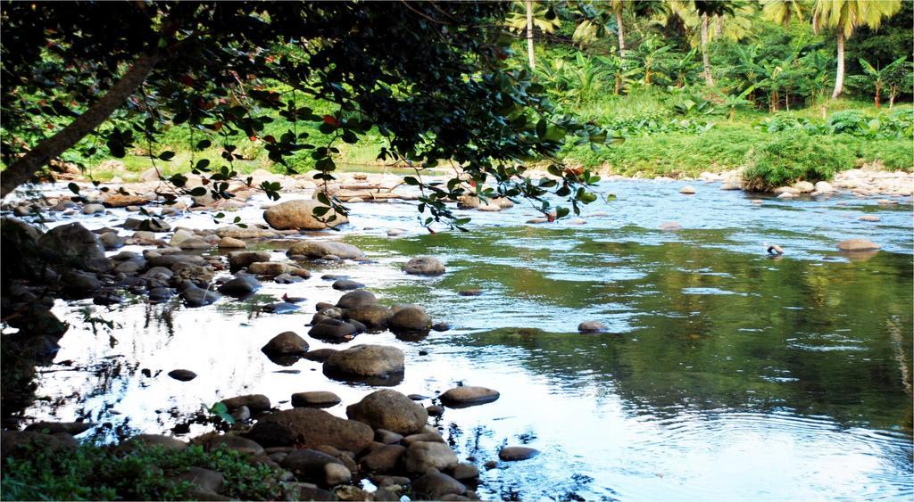 Hibiscus Valley Inn Marigot Ngoại thất bức ảnh