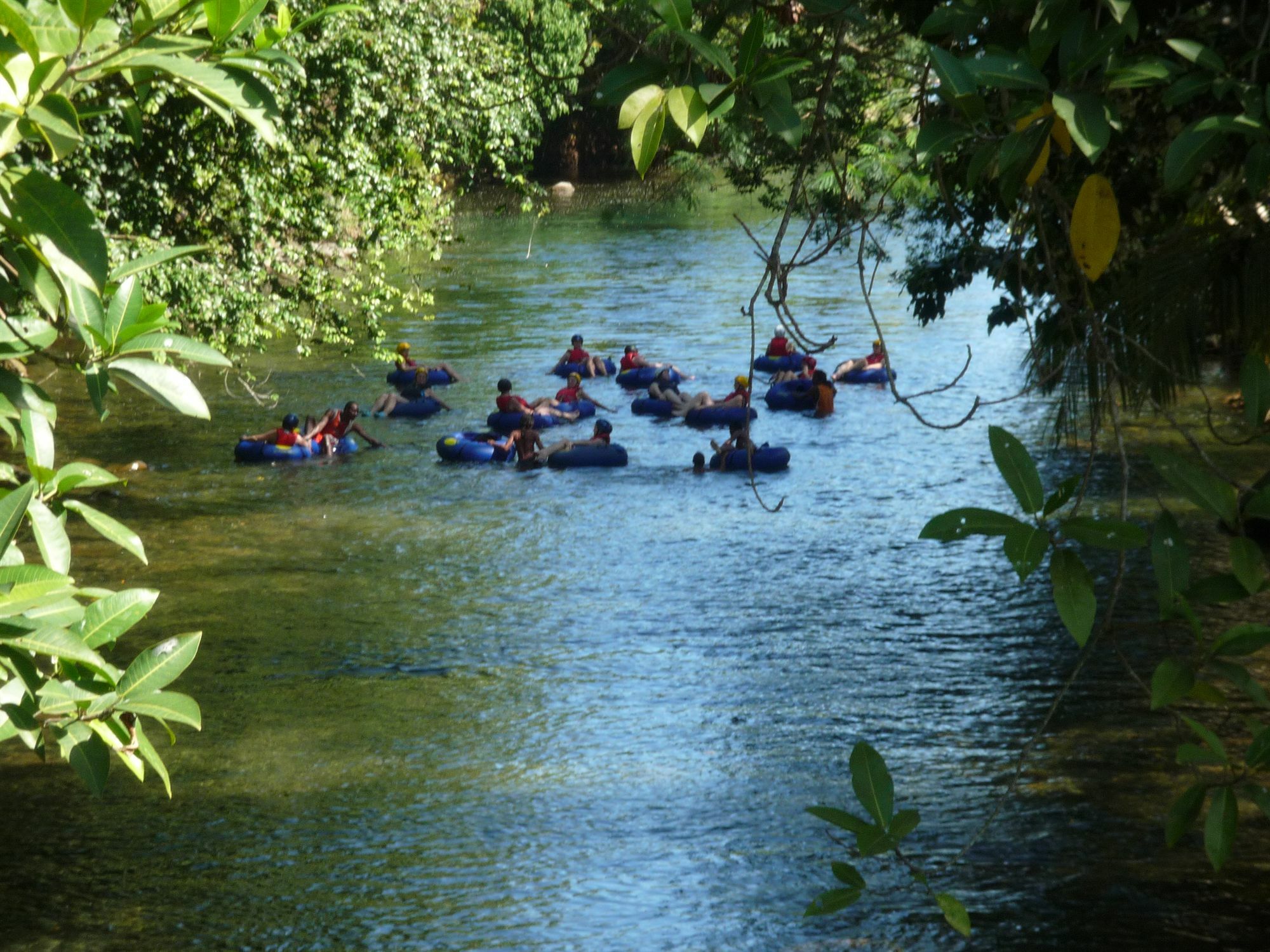 Hibiscus Valley Inn Marigot Ngoại thất bức ảnh