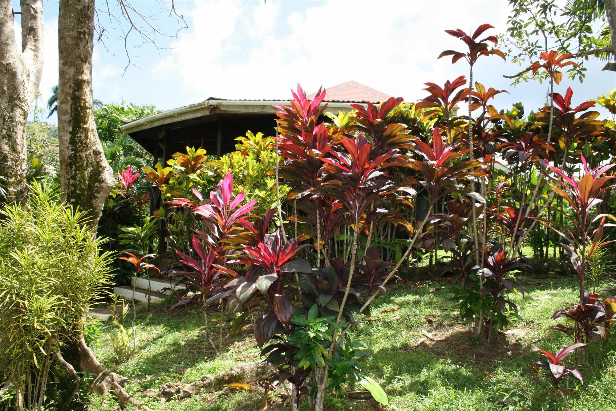 Hibiscus Valley Inn Marigot Ngoại thất bức ảnh